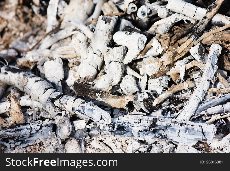 Charcoal and white ash of extinguished bonfire under sunlight close-up view