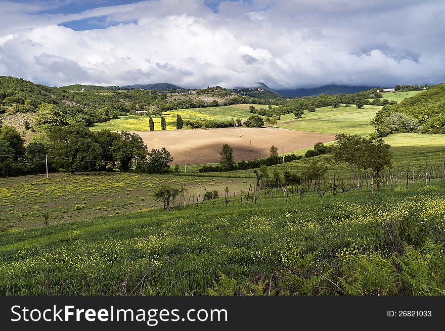 Rainstorm on the Tuscan countryside in spring