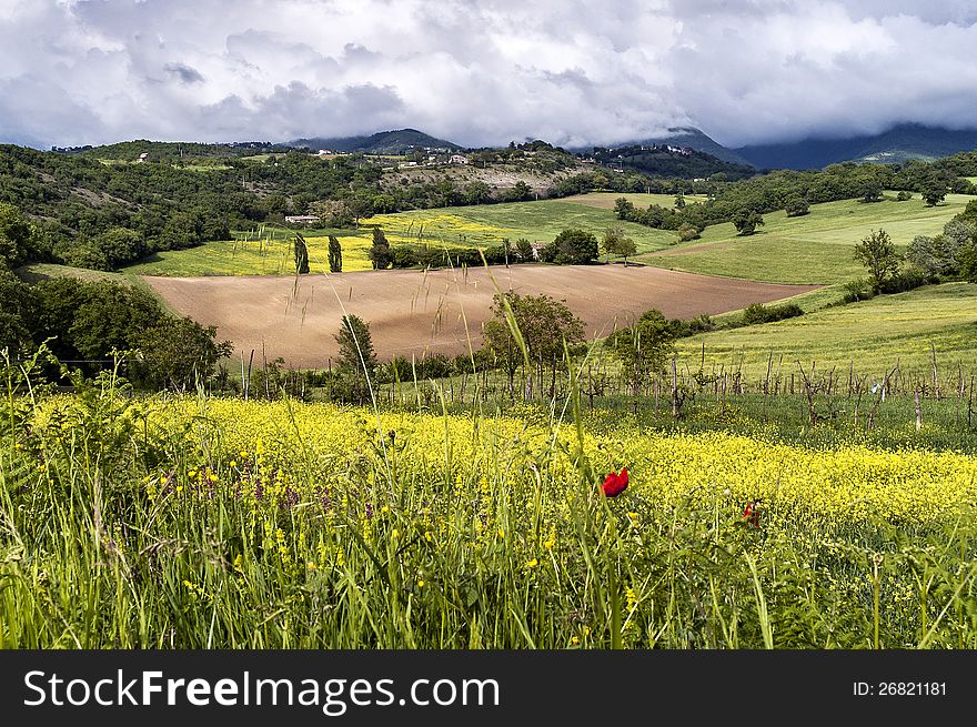 Rainstorm on the Tuscan countryside in spring