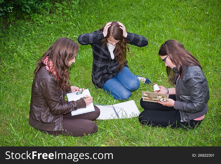 Schoolgirls learning intensive on a grass