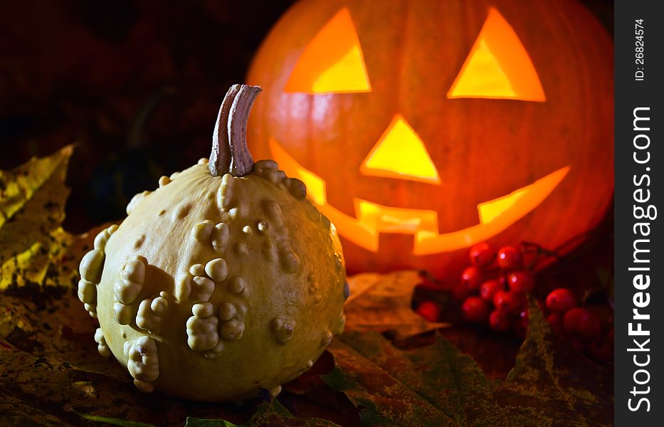 Still-life with pumpkins and the fallen down yellow leaves