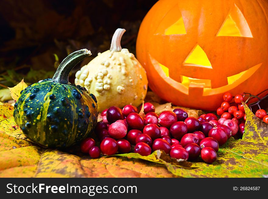 Still-life with pumpkins and cranberry on a yellow leaves