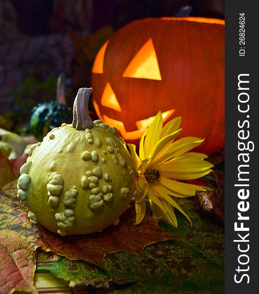 Still-life With Pumpkins