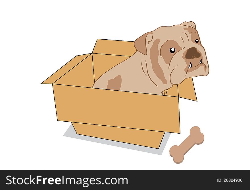 A cute dog sitting in the box. A cute dog sitting in the box