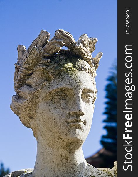 Close up view of a stone head of a Roman statue. Close up view of a stone head of a Roman statue.