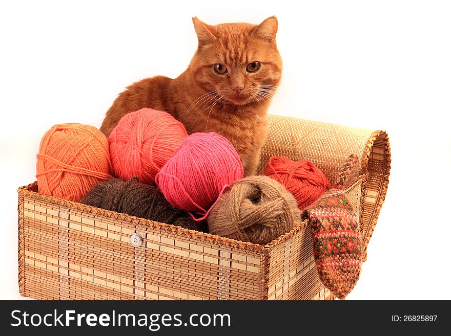 The red cat sits in a box in which balls of threads lie. The red cat sits in a box in which balls of threads lie.