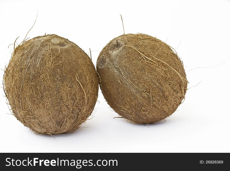 Two Coconut isolated on white background. Two Coconut isolated on white background