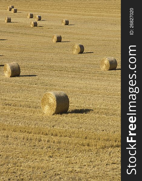 Large field with multiple bales of hay catching the evening sunshine