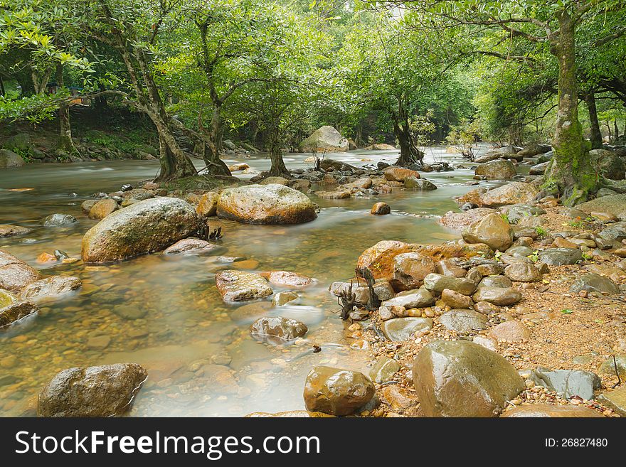 Forest and stream water between the stones. Forest and stream water between the stones