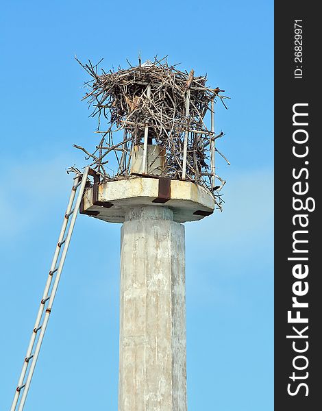 Remains of old ruined lighthouse beacon, covered with nest. Remains of old ruined lighthouse beacon, covered with nest