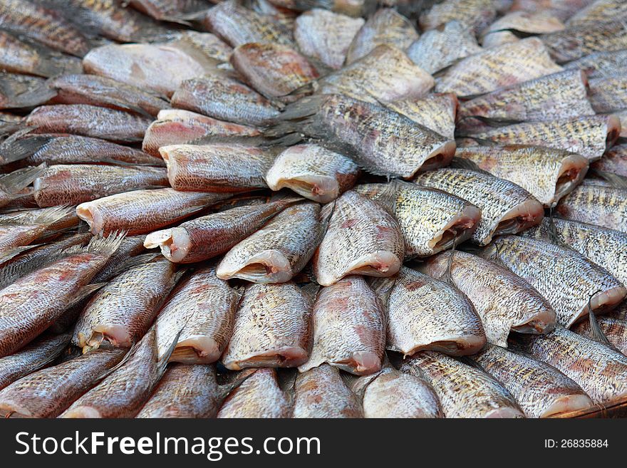 Dry gourami fish full frame shot