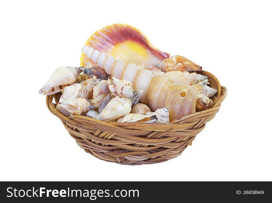 Shells, folded pile of straw in a basket. Shells, folded pile of straw in a basket
