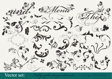 Collection Of Decorative Design Elements Stock Photo Collection Of Decorative Design Elements Stock Photo