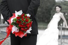 Sweet Rose For Surpire Stock Images Sweet Rose For Surpire Stock Images