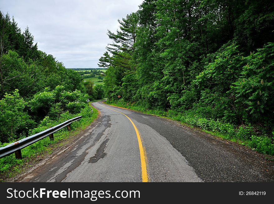 An old country road with colorful green foliage enveloping it on both sides.