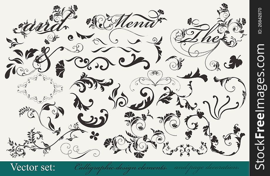 Decorative elements for  your design. Calligraphic vector. Decorative elements for  your design. Calligraphic vector