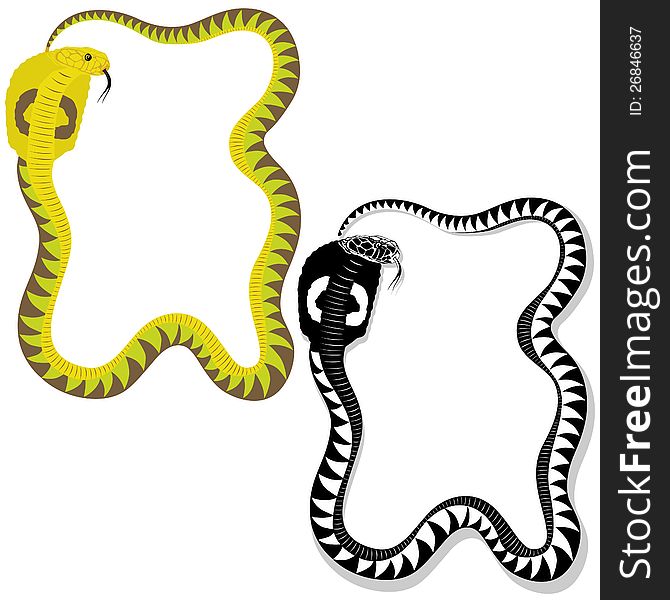 Venomous snake in color and monochrome versions. Illustration on white background.