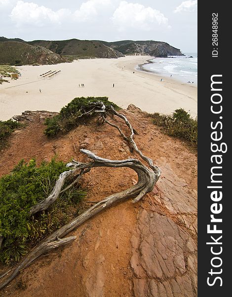 Beautiful Coastline Of Sagres