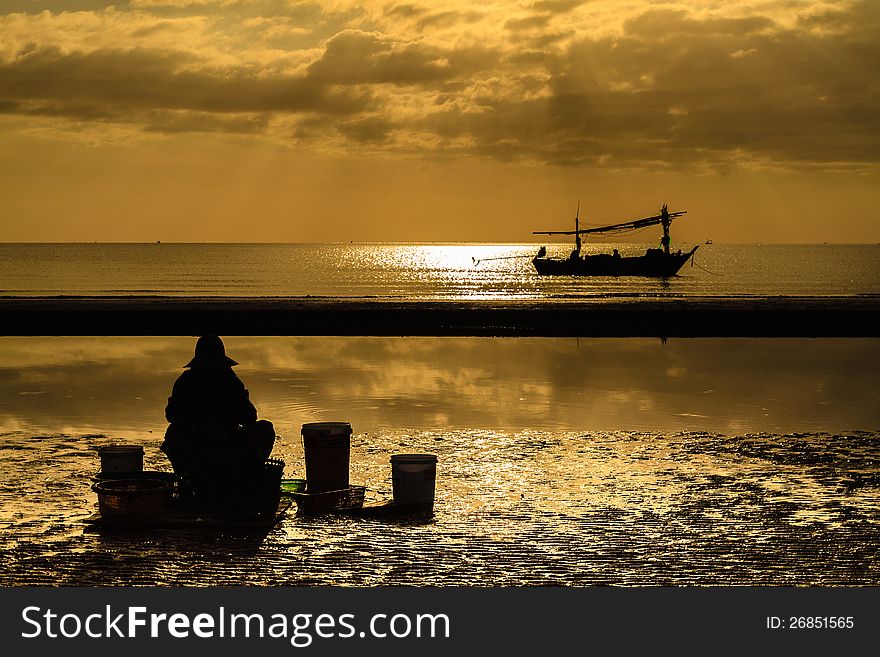 Silhouette fisherman sorting fishes on the beach