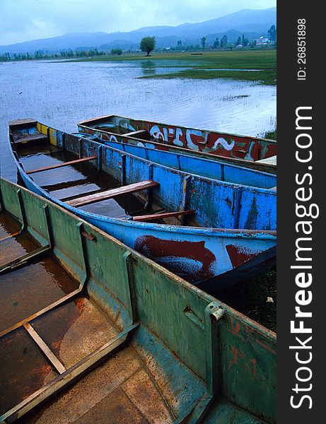 Rusty boats in lashi lake, Lijiang, China, 2005.
