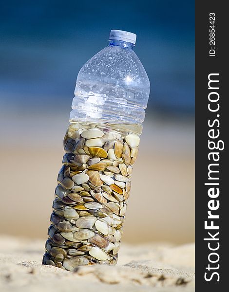 Close view of a water bottle filled with edible saltwater donax clams. Close view of a water bottle filled with edible saltwater donax clams.