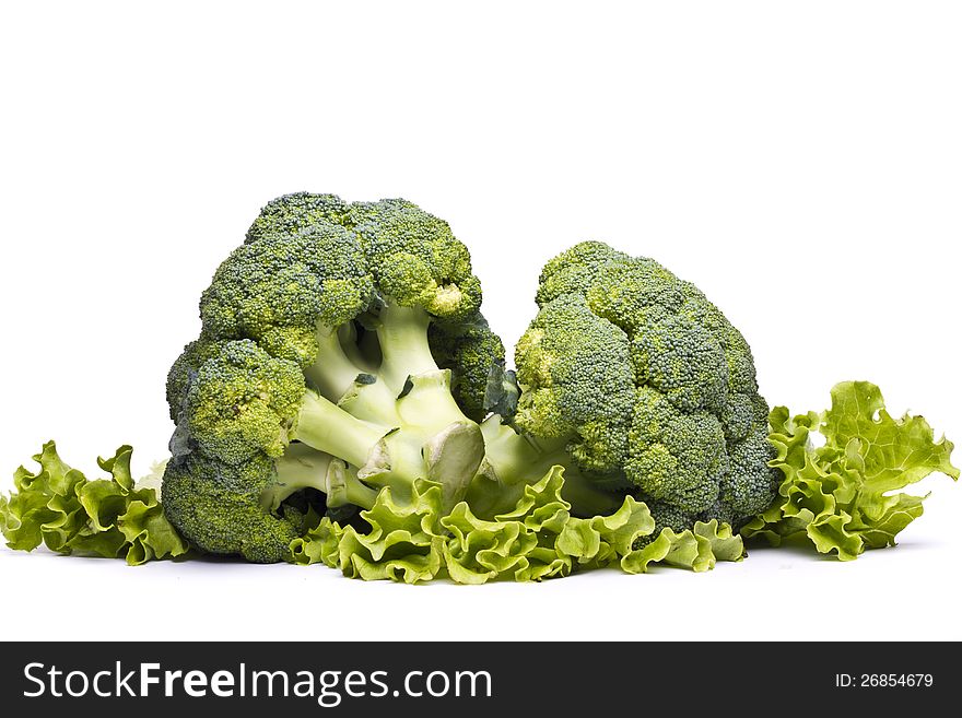 Close view of a piece of broccoli vegetable isolated on a white background.
