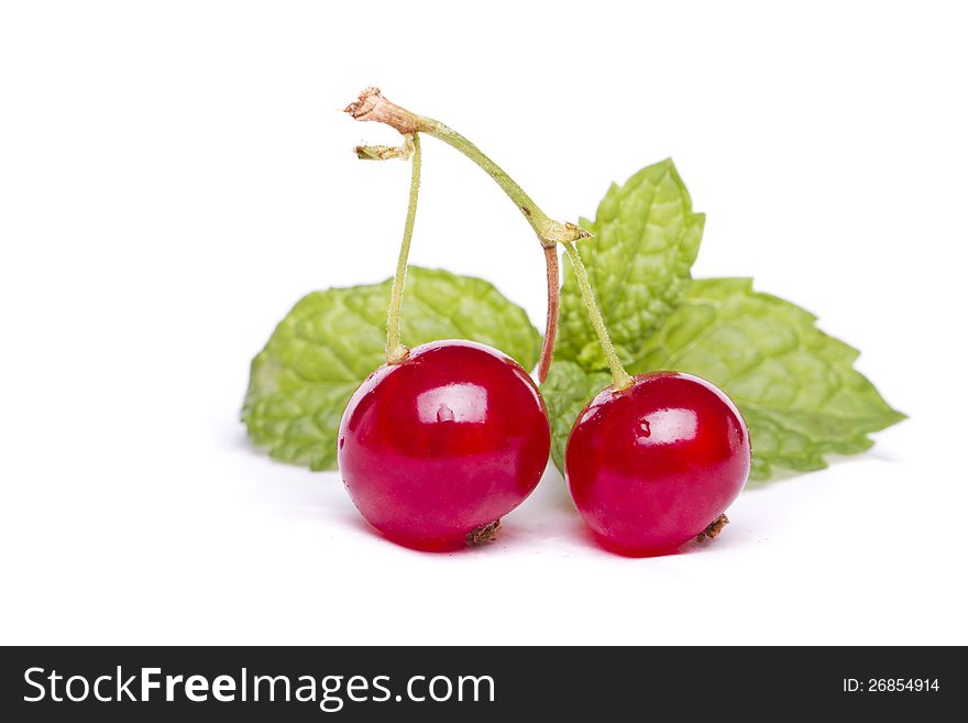 Tasty red currant berries