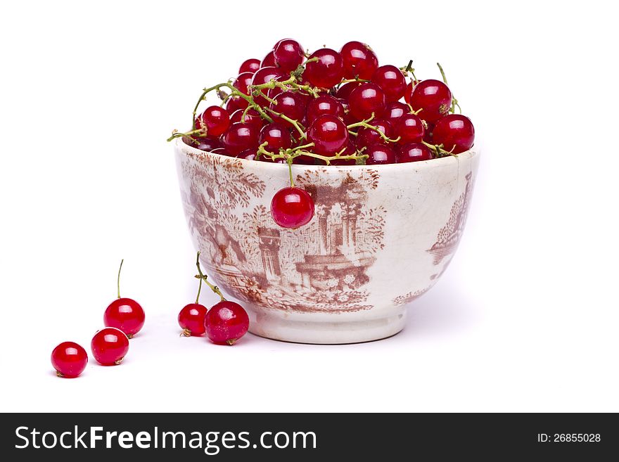 Tasty Red Currant Berries