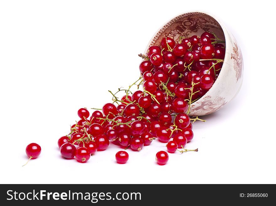 Tasty red currant berries