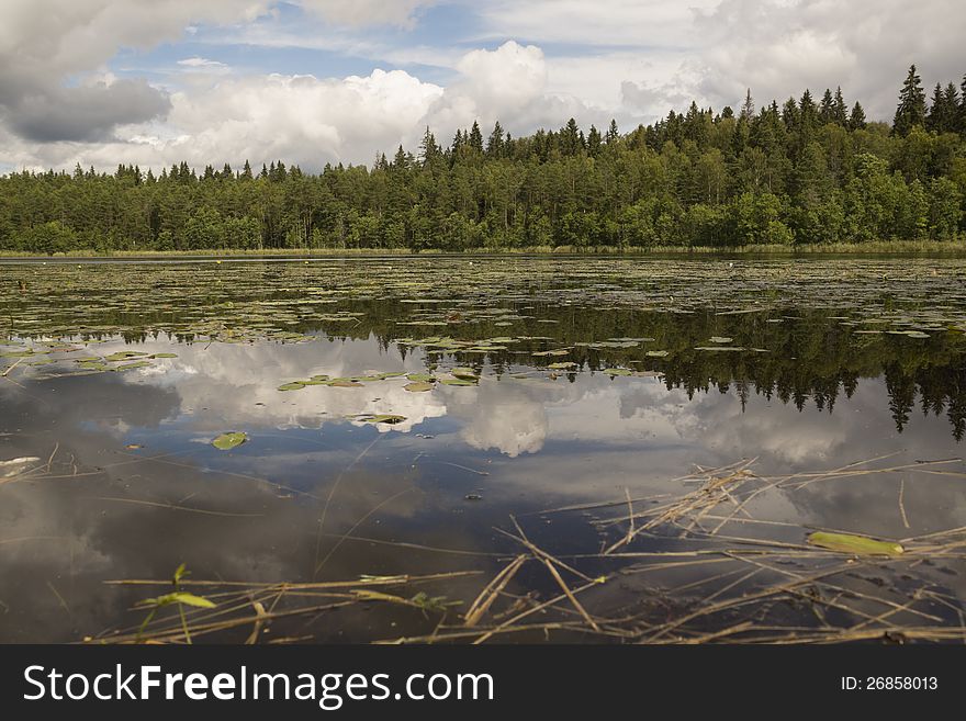 Livsky lake. To the West from lake Seliger. It is remote. Livsky lake. To the West from lake Seliger. It is remote.