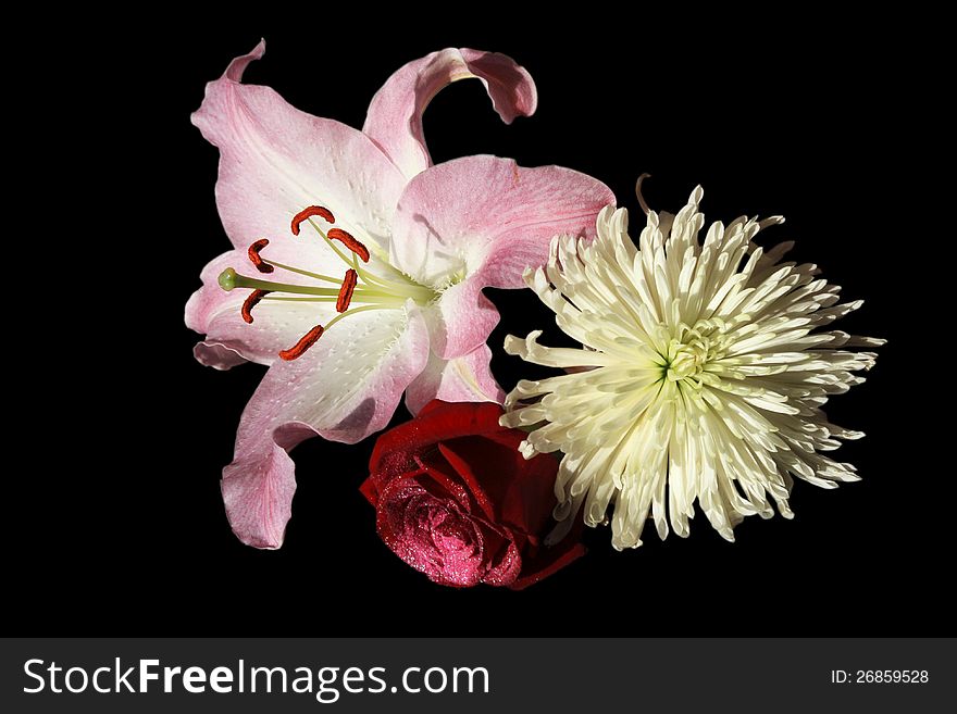 Photo of bouquet of fresh bright flowers - lilies, asters and roses, isolated on black