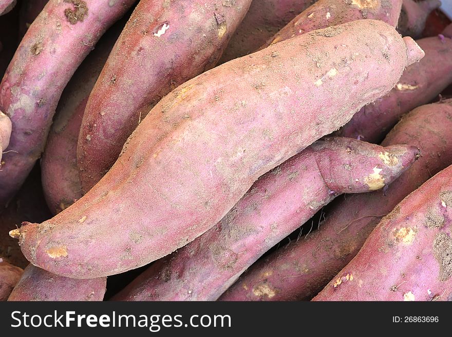 The close-up of sweet potato