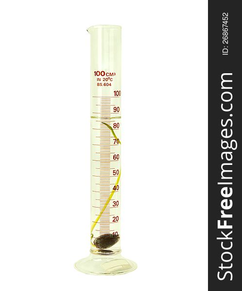 Seed in a test tube