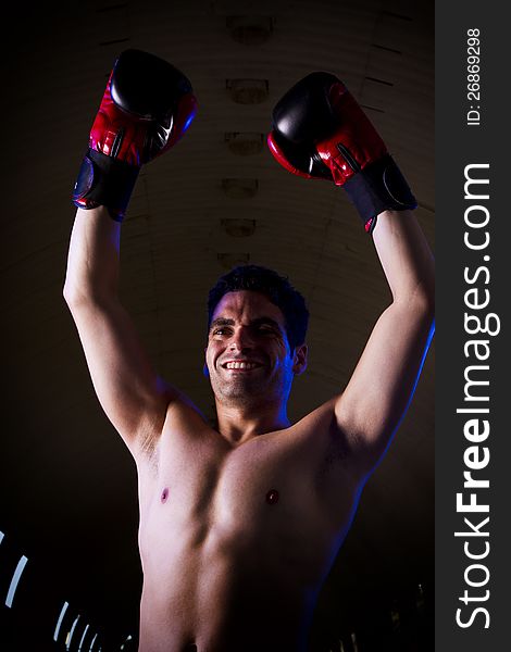 View of a fit fighter with boxing gloves on a winning pose