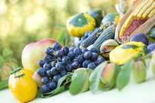 Fruits And Vegetables Royalty Free Stock Photos