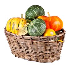 Harvested Pumpkins In A Large Basket Royalty Free Stock Images