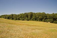 Hay Bales In A Green Field Royalty Free Stock Images Hay Bales In A Green Field Royalty Free Stock Images