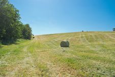 Hay Bale In A Green Field Royalty Free Stock Photos Hay Bale In A Green Field Royalty Free Stock Photos