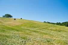 Hay Bales In A Green Field Stock Photo Hay Bales In A Green Field Stock Photo