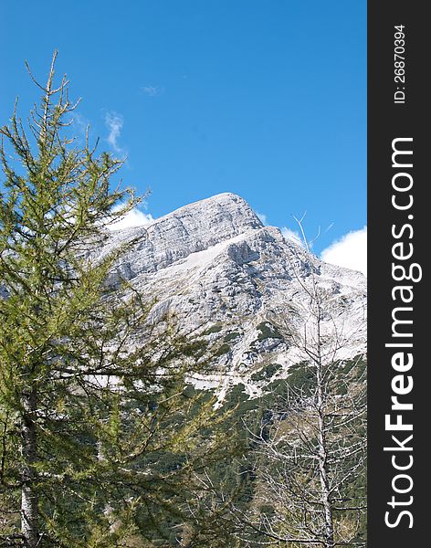 White rock mountain with clouds and green and grey tree pine. White rock mountain with clouds and green and grey tree pine.