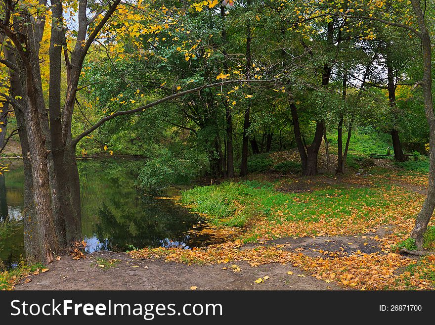 Autumn landscape. View of a pond. Andreevsky ponds in Saratov.