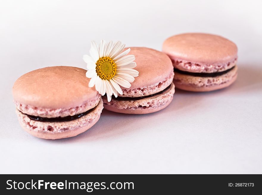 Pink french strawberry macarons with chocolate filling in a row with on a white background. Pink french strawberry macarons with chocolate filling in a row with on a white background