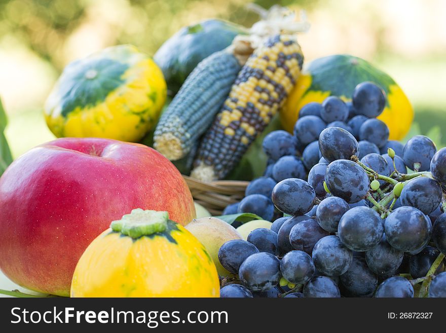 Organic Fruits And Vegetables