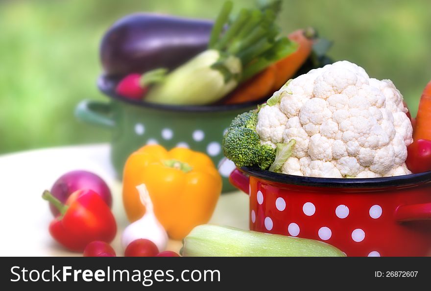 Vegetables in pots on the table