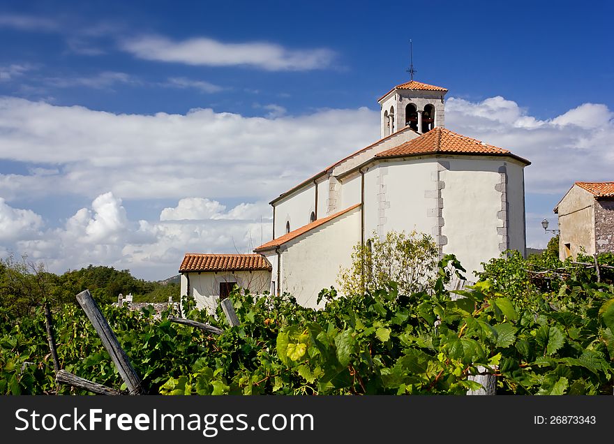 18th century country church in context, with grapevine in the foreground