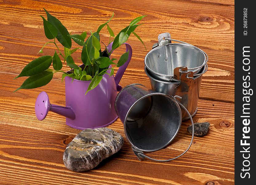 Making Mini Garden with Tin Buskets, Watering Can, Plants and Stones on wooden background