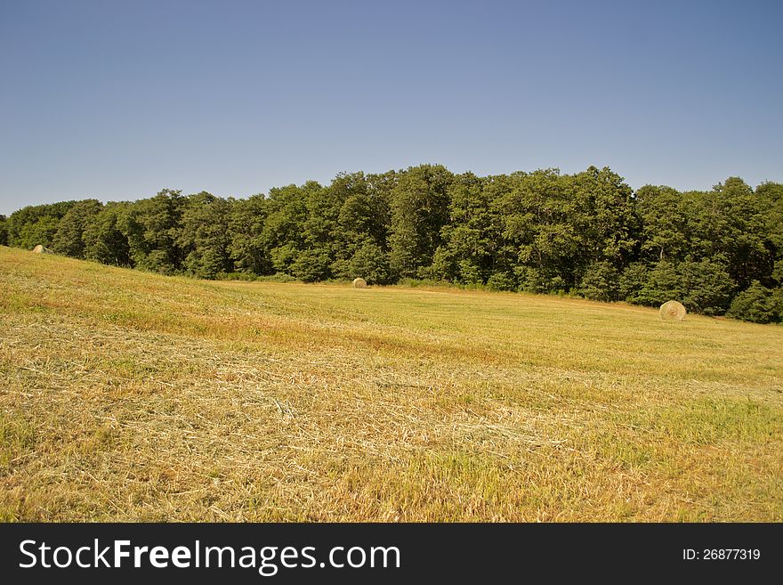 Hay Bales In A Green Field