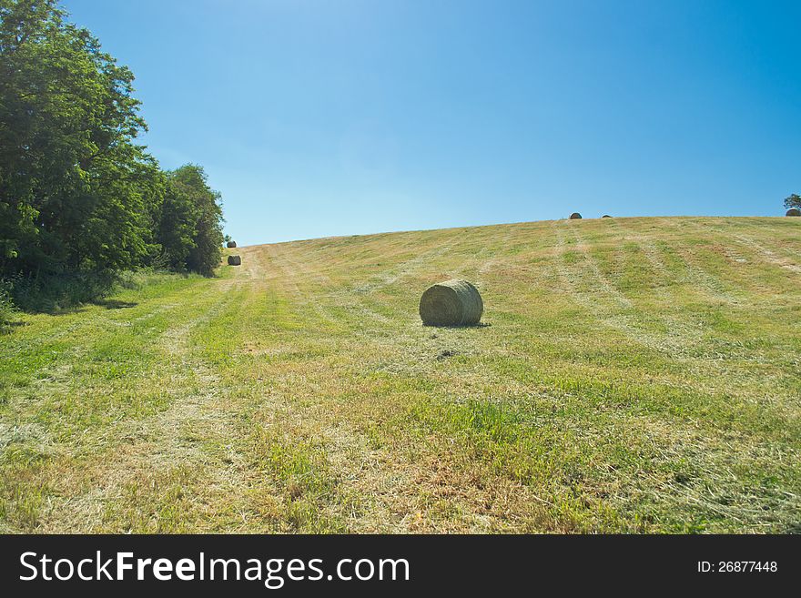 Hay bale from freshly cut grass during a sunny day. Hay bale from freshly cut grass during a sunny day