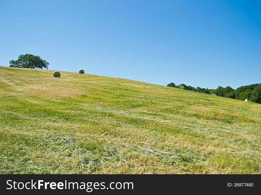 Hay bale from freshly cut grass. Landscape trees on the backgroud during a superb sunny day. Hay bale from freshly cut grass. Landscape trees on the backgroud during a superb sunny day
