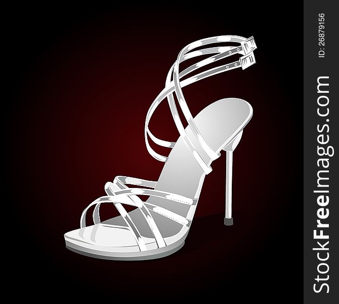 Woman shoe on a black background. Woman shoe on a black background